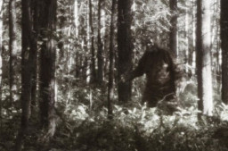 Viral di Medsos, Sepasang Suami Istri Temukan Sosok Misterius Mirip Bigfoot di AS