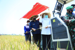 Stock Melimpah, Jatim Tak Butuhkan Impor Beras