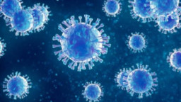 Update Kasus Covid-19 di Gresik: 4 Sembuh, 2 Positif