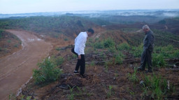 Pembangunan Ibu Kota Baru di Kaltim, Masih Tertatih-tatih