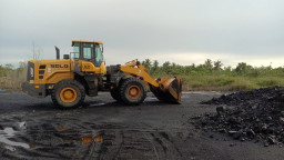 Penambang Batubara Ilegal Kaltim, Belum Tersentuh