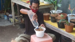 Produksi Cocopeat, Agus Hasilkan Jutaan Rupiah