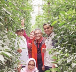 BUDI CAKEP Program dari Dinas Pertanian Kab Pasuruan