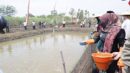 Bupati Mojokerto Ikuti Panen Raya Tambak Ikan Tawar Desa Ngingasrembyong