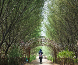 Tahura Pakal Surabaya Bakal Jadi Eco Wisata, Pemkot Surabaya Siapkan Konsep Khusus
