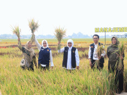 Gubernur Jatim Canangkan Desa Ngarjo Mojokerto Jadi Lokasi 'MTS'