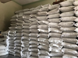 Harga Kedelai Naik, Stok Distributor Kedelai Surabaya Masih Aman