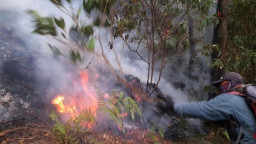 Rambah Tiga Area, Kebakaran Hutan Gunung Arjuno-Welirang Kian Meluas