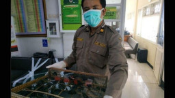 Penyelundupan 980 Unggas dari Balikpapan Digagalkan