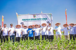 Bupati Jember Ajak Petani Beralih ke Pupuk Organik