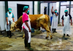 2 RPH di Banyuwangi Kantongi Sertifikat Halal