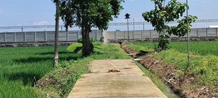 Kades Akui Bukan Hak Pribadi dan Dijual ke Perusahaan?