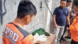 Santri di Bojonegoro Temukan Mayat Bayi saat Bersih-bersih