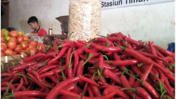 Harga Cabai Merah Besar di Jember Kian Pedas