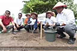 Pj Bupati Pasuraun Ajak Aktif Tanam Pohon