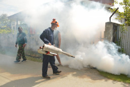 Dinkes Jombang Temukan 58 Wilayah Endemik DBD