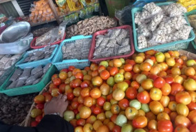 Harga Tomat di Madiun Naik Drastis