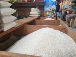 Harga Beras Premium di Lamongan Naik Signifikan
