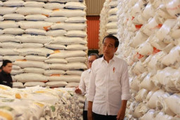 Bulog Baru Akui Bukan Bansos Pemicu Kelangkaan Beras