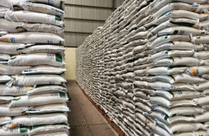 Ketersediaan Beras di Bondowoso Aman hingga Lebaran