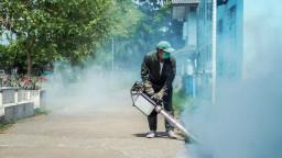 Jumlah Kasus DBD di Kota Batu Melonjak