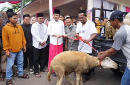 Pedagang Domba dan Sapi seluruh Jember dukung Gus Fawait Maju Calon Bupati