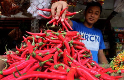 Alhamdulillah, Harga Cabai Terpantau Mulai Surut Drastis 12,84 Persen
