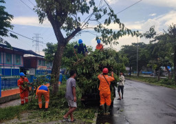 Bersihkan Pohon pada Jalur ROW, PLN Pastikan Masyarakat Madura Nyaman Beribadah Selama Ramadhan