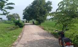 Tingkatkan Ketahanan Pangan, Pemdes Karang Tanjung Genjot Pavingisasi Jalan Usaha Tani