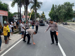 Motor Adu Banteng, Lansia di Blitar Tewas