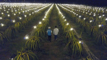 Garap Potensi Electrifying Agriculture, PLN Gelar Audiensi Bersama Bupati Kediri