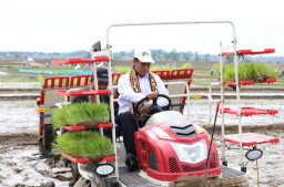 Genjot Swasembada Padi dan Jagung, Kementan Anggarkan APBN Rp 7,74 Triliun