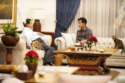 Prabowo-Gibran, Sudah Unggul di 31 Provinsi