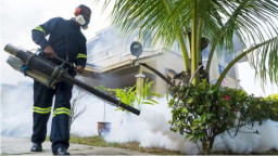 Tekan Kasus DBD, Dinkes Kediri Turunkan Pokjanal