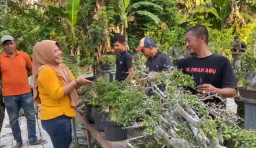 Pasar Bonsai Bojonegoro Bisa Jadi Identitas Daerah