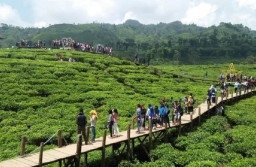 Kunjungan Wisatawan ke Jember Naik Selama Libur Lebaran 2024