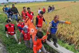 Panen Padi, Buruh Tani di Mojokerto Tiba-tiba Ambruk dan Meninggal Dunia
