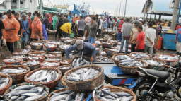 KKP Dorong Ratusan UMKM Naik Kelas