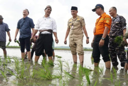 Mentan Targetkan Produktivitas Tanaman Padi Melalui Pompanisasi saat berkunjung ke Bangkalan