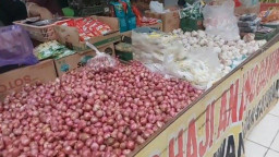 Realisasi Impor Minim, KSP akan Panggil Importir Bawang Putih