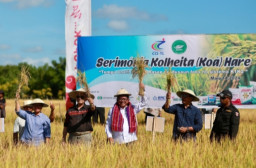 Petrokimia Gresik Berhasil Tingkatkan Produktivitas Padi di Timor Leste Hingga 7,5 Ton Per Hektar