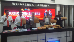 2 Pengedar Pil Koplo dan Ganja Diringkus Polres Blitar