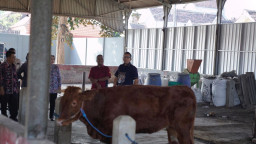 Pemkot Mojokerto Perketat Pengawasan Pintu Masuk Hewan Kurban