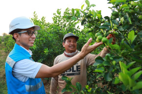 Hidupi Sawah di Nganjuk, PLN Jadi Pelopor Penggerak Ekonomi di Sektor Pertanian