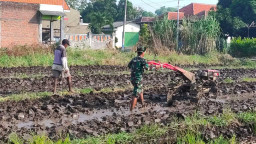 Satgas TMMD ke-120 Bersinergi Jaga Ketahanan Pangan di Desa Penambangan