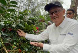 Kopi Papua Masuk dalam Pameran World of Coffee Copenhagen