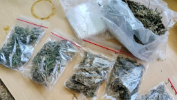 Pemotor Ditilang, Ternyata Bawa Ganja