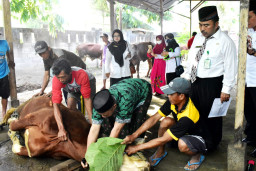 Disnakeswan Lamongan: Penyembelihan Hewan Kurban Naik 10 Persen