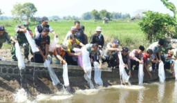Pemkab Bangkalan Tebar 65 Ribu Bibit Ikan Air Tawar