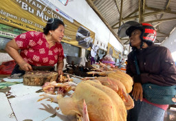 Jelang Idul Adha, Harga Daging Ayam di Pasar Kota Kediri Naik